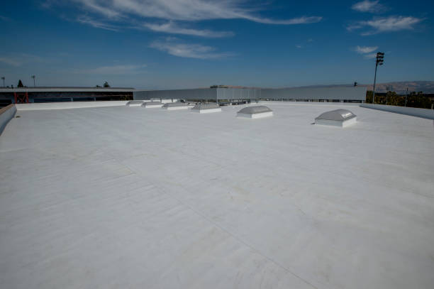 Best Roof Coating Services  in River Forest, IL