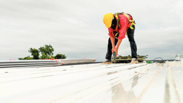 Best Rubber Roofing (EPDM, TPO)  in River Forest, IL