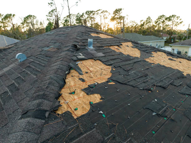 Best Gutter Installation and Repair  in River Forest, IL